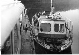 25.7.1984 - BOBRA na řece Moravě u Napajedel 1